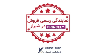 نمایندگی رسمی پرنسلی